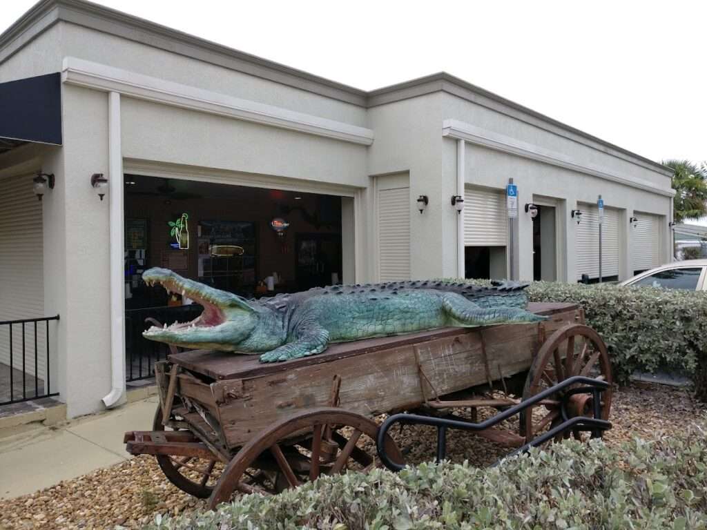 Downtown Gatorz Bar And Grill photo 4